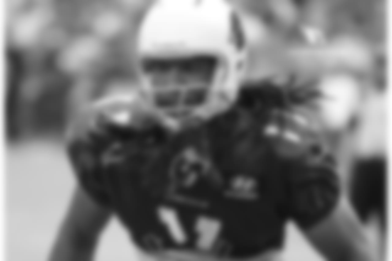 WR Larry Fitzgerald