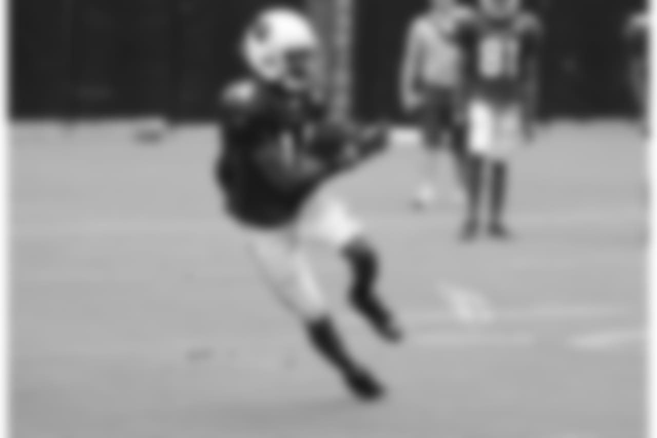 WR J.J. Nelson