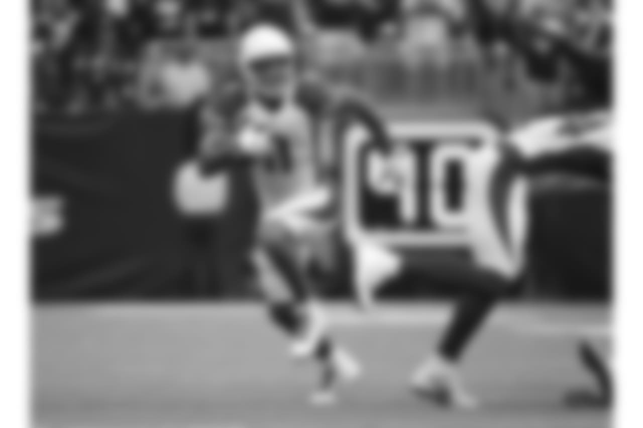 WR Larry Fitzgerald