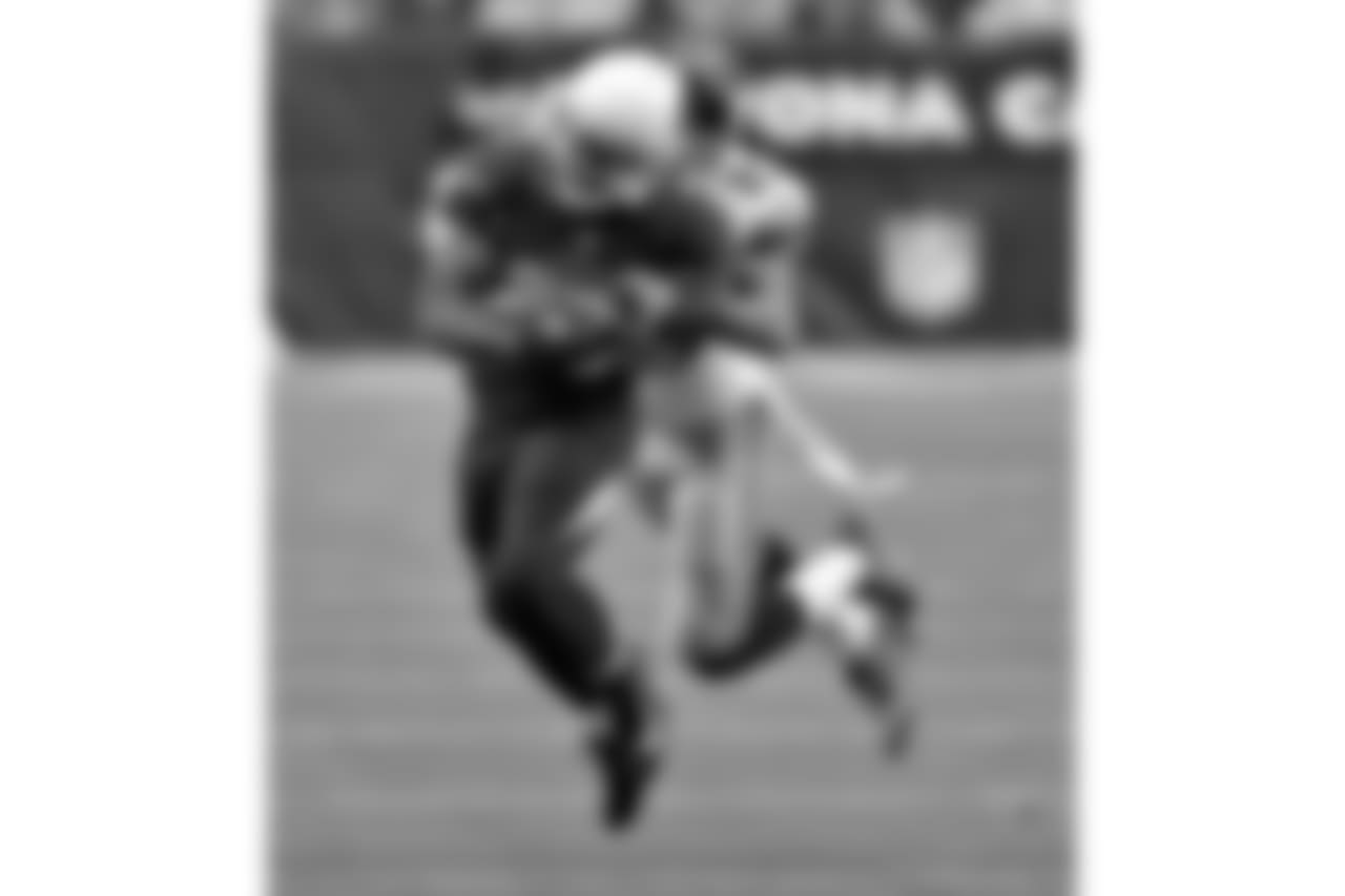 Cardinals RB Kerwynn Williams on the carry