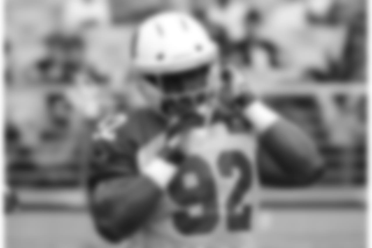 Day 3: DT Frostee Rucker