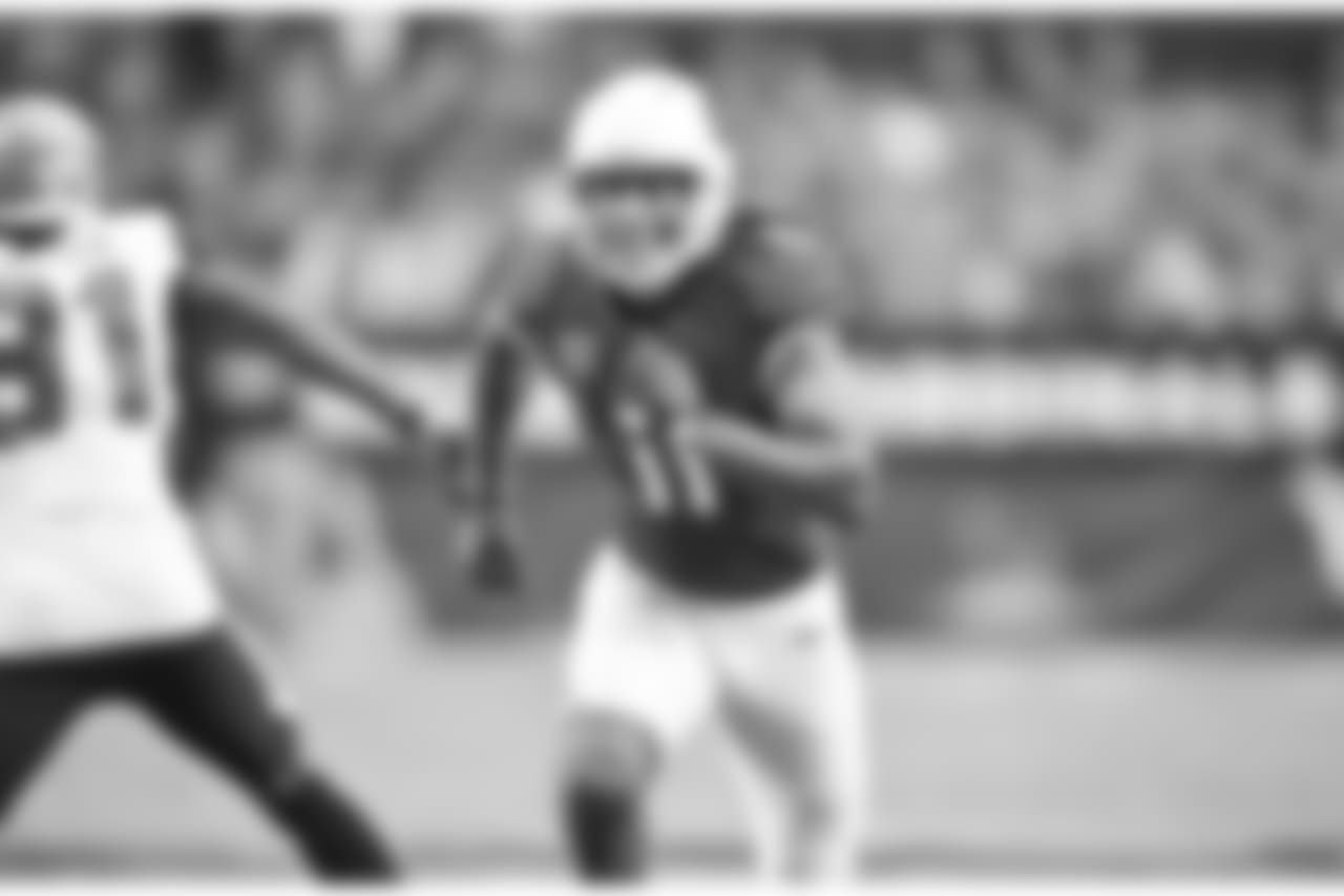 WR Larry Fitzgerald