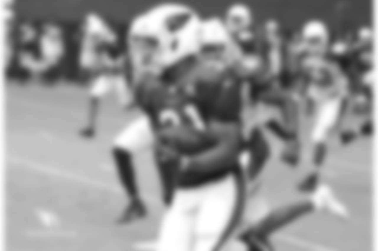 RB David Johnson breaks loose for a long gain