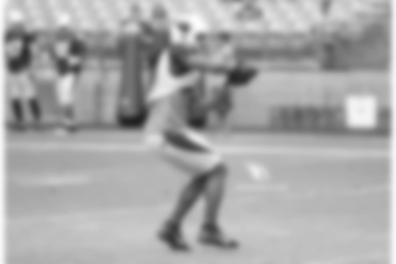 WR Larry Fitzgerald