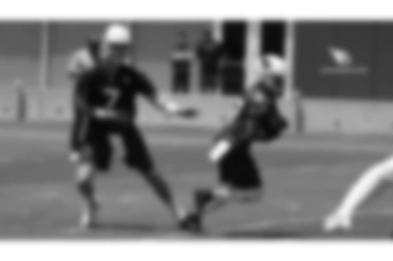 QB Mike Glennon hands the ball off to RB D.J. Foster