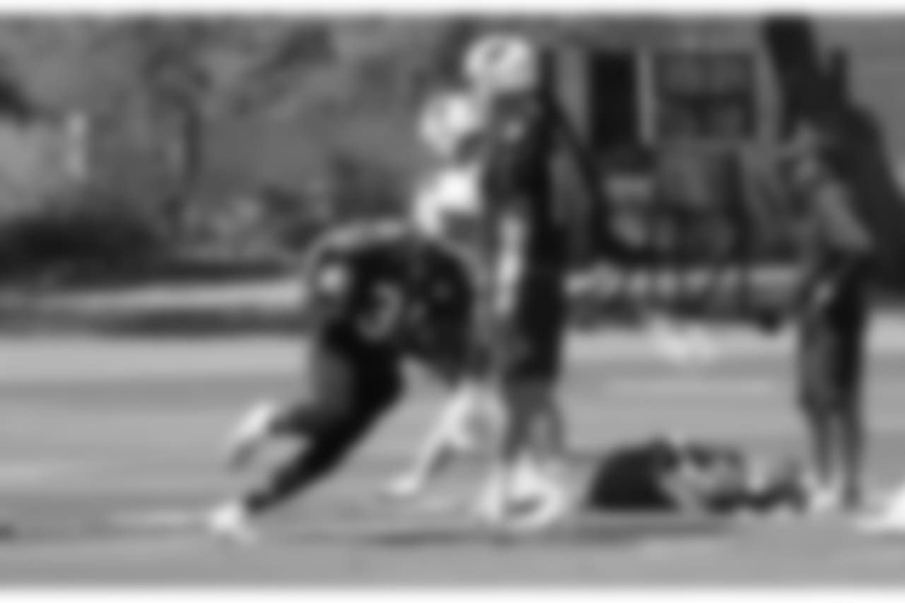 RB David Johnson