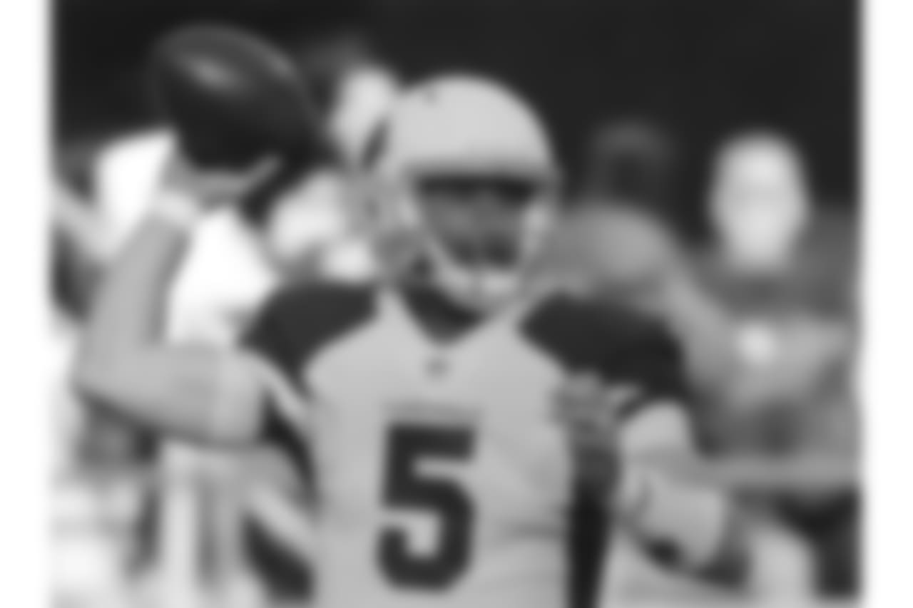 Cardinals QB Drew Stanton looks to throw