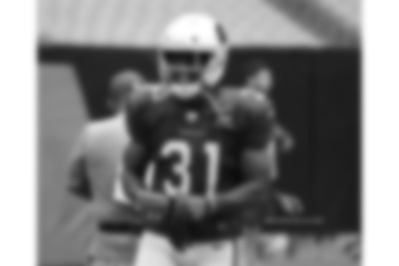 RB David Johnson
