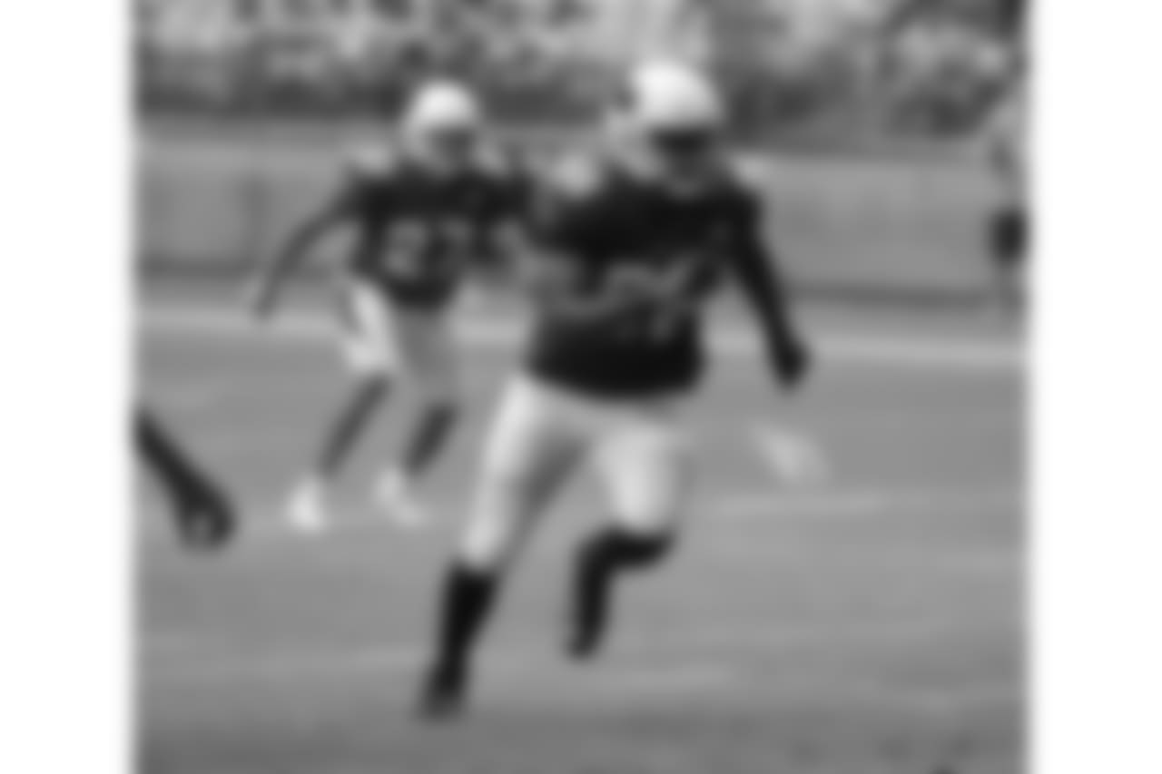 LB Karlos Dansby