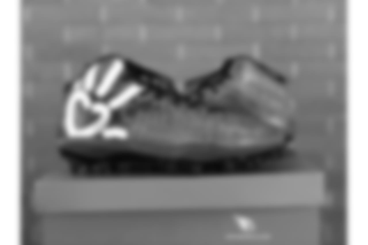 QB Carson Palmer will support Phoenix Children's Hospital.