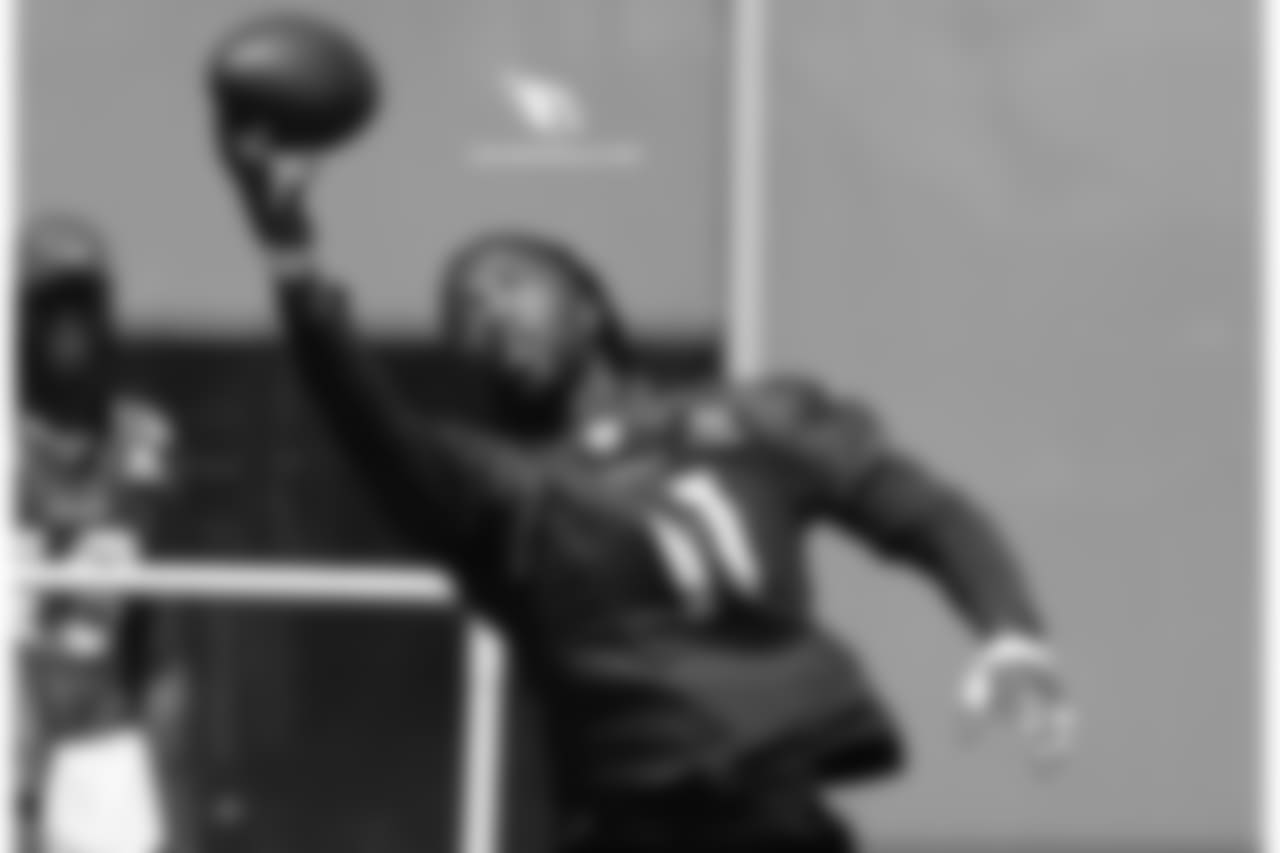 WR Larry Fitzgerald