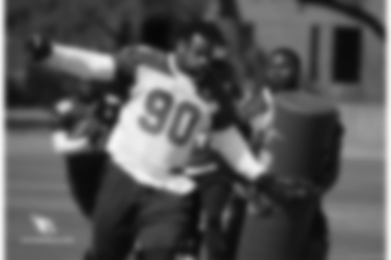 DT Robert Nkemdiche