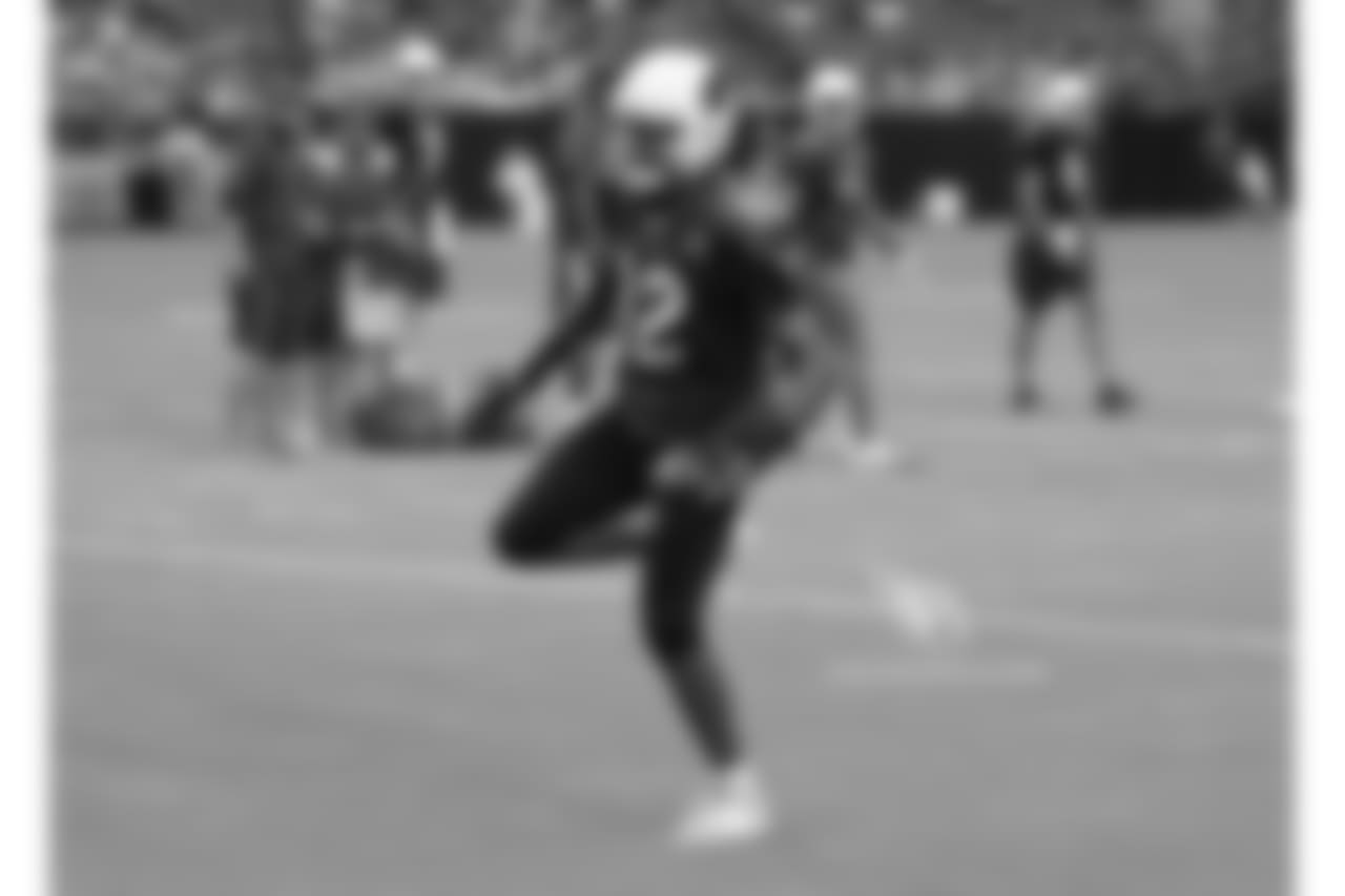 WR Brice Butler