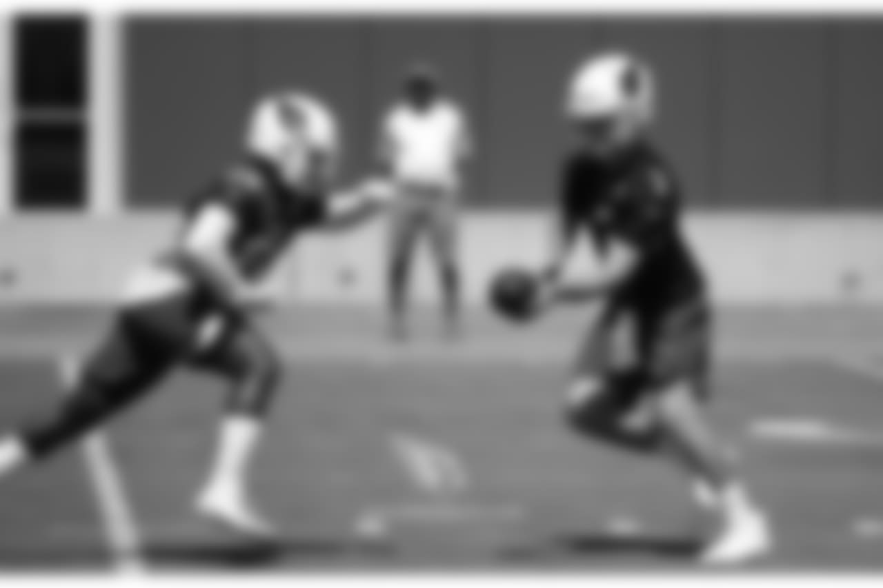 QB Josh Rosen hands off to RB Chase Edmonds