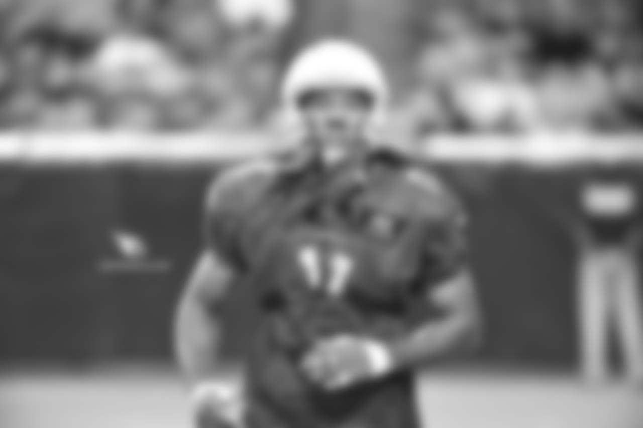 WR Larry Fitzgerald