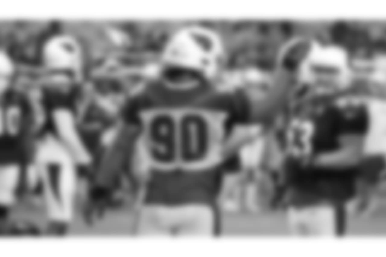 DT Robert Nkemdiche