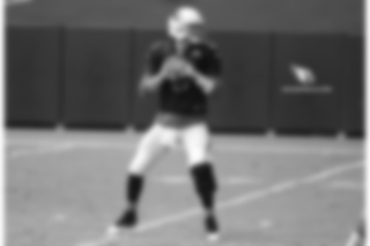 QB Carson Palmer