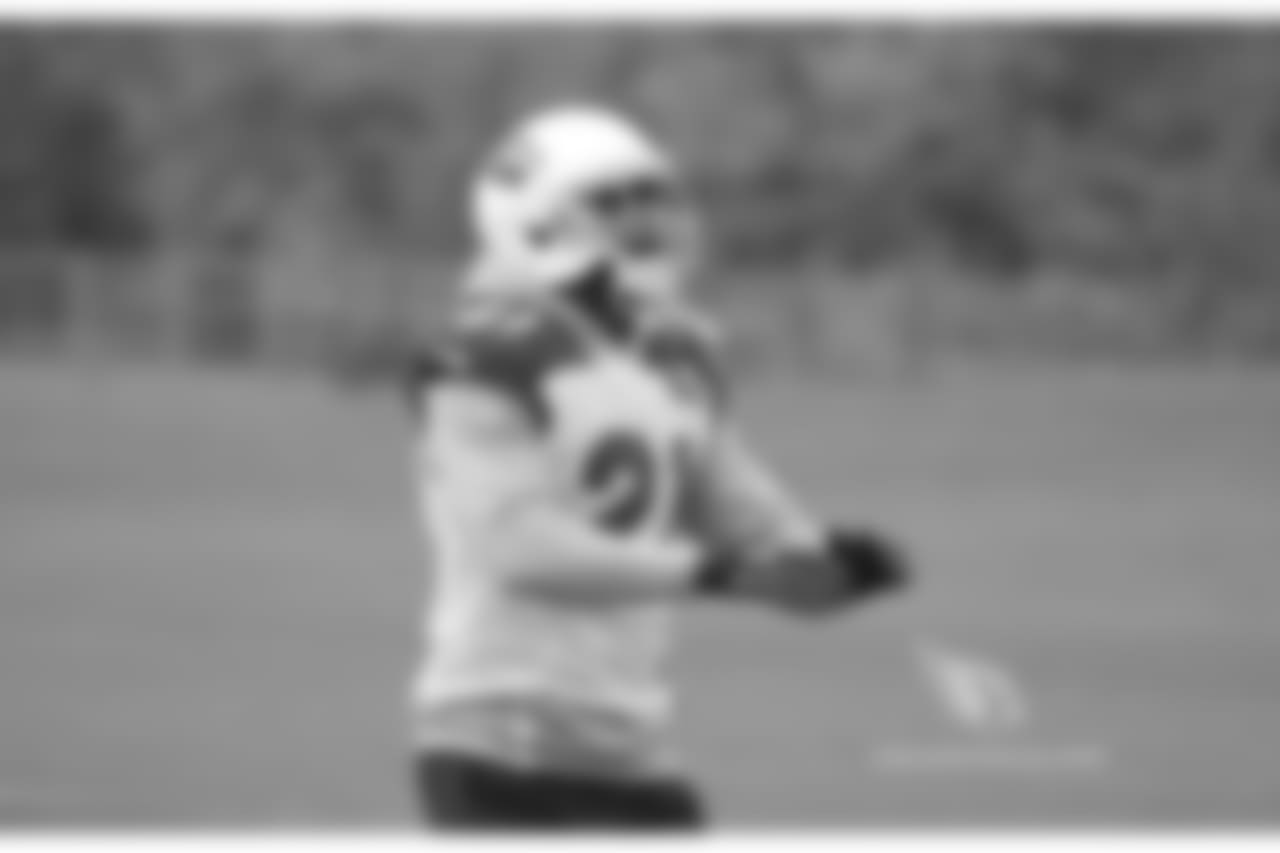 CB Patrick Peterson