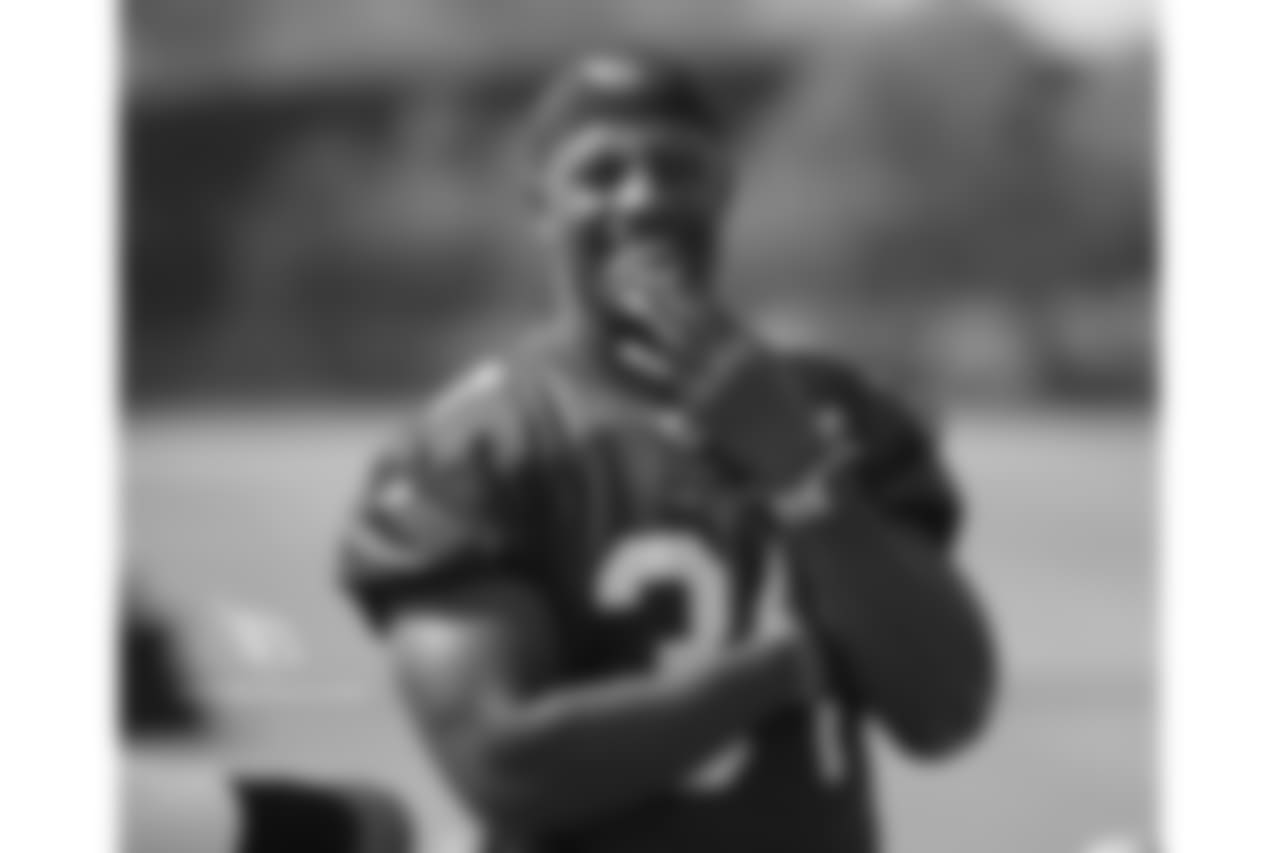 RB David Johnson