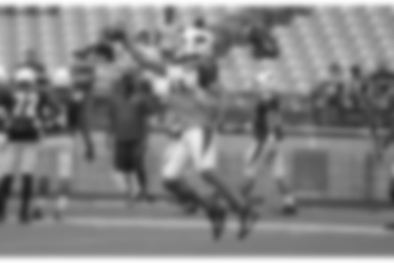 WR Larry Fitzgerald