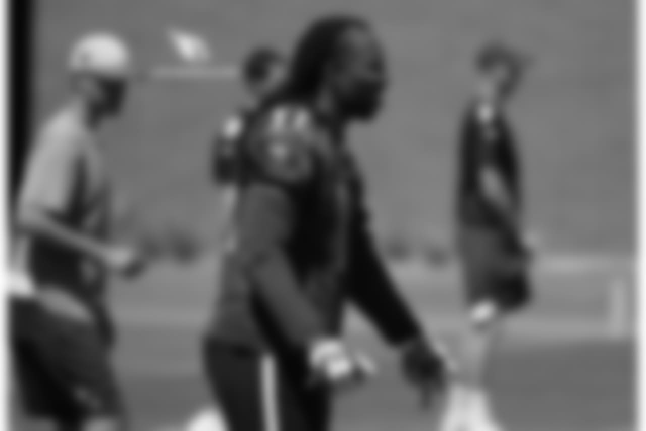 WR Larry Fitzgerald