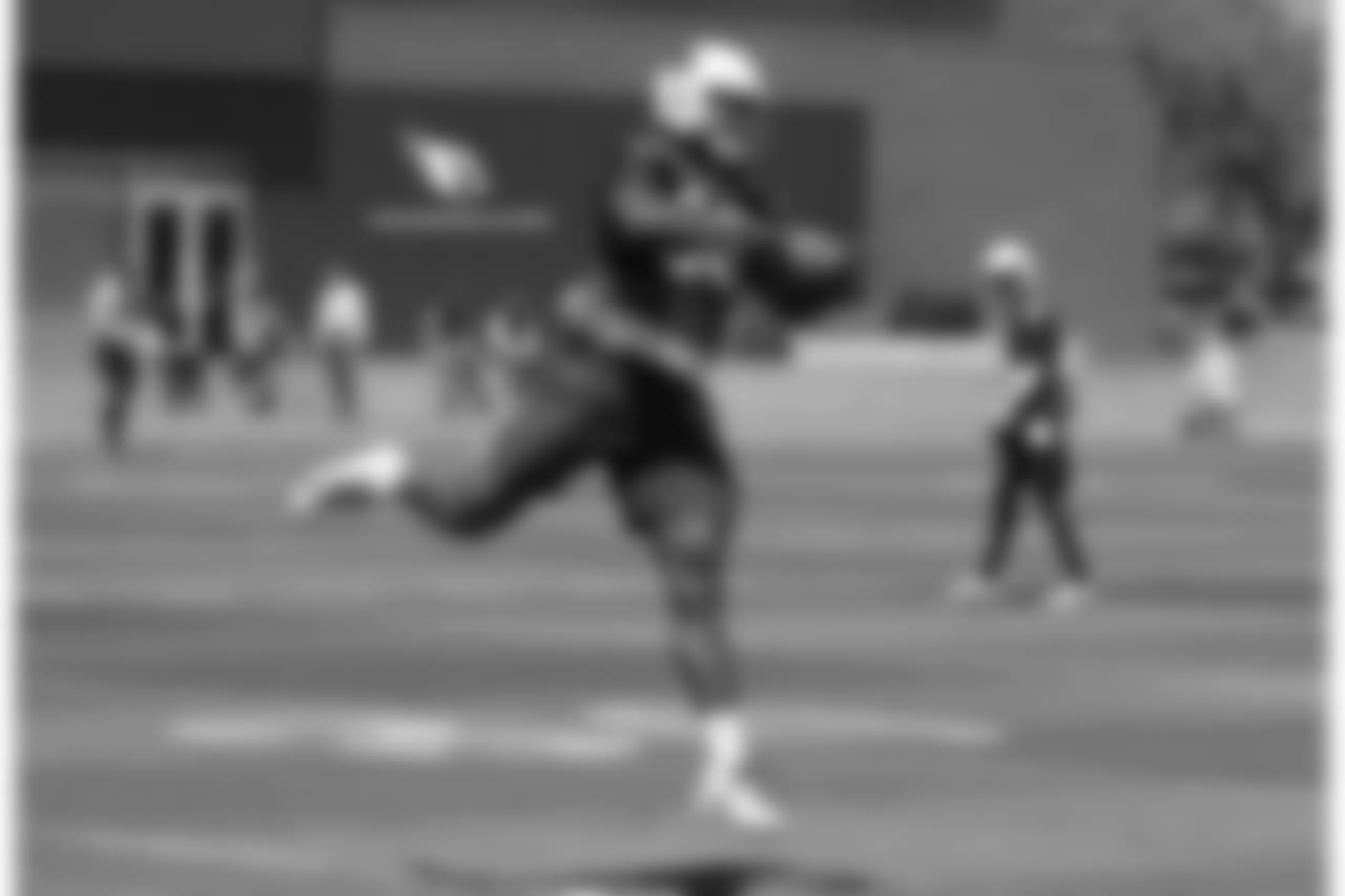 TE Gabe Holmes
