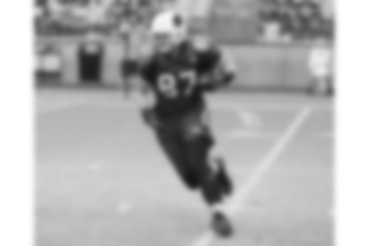 TE Troy Niklas