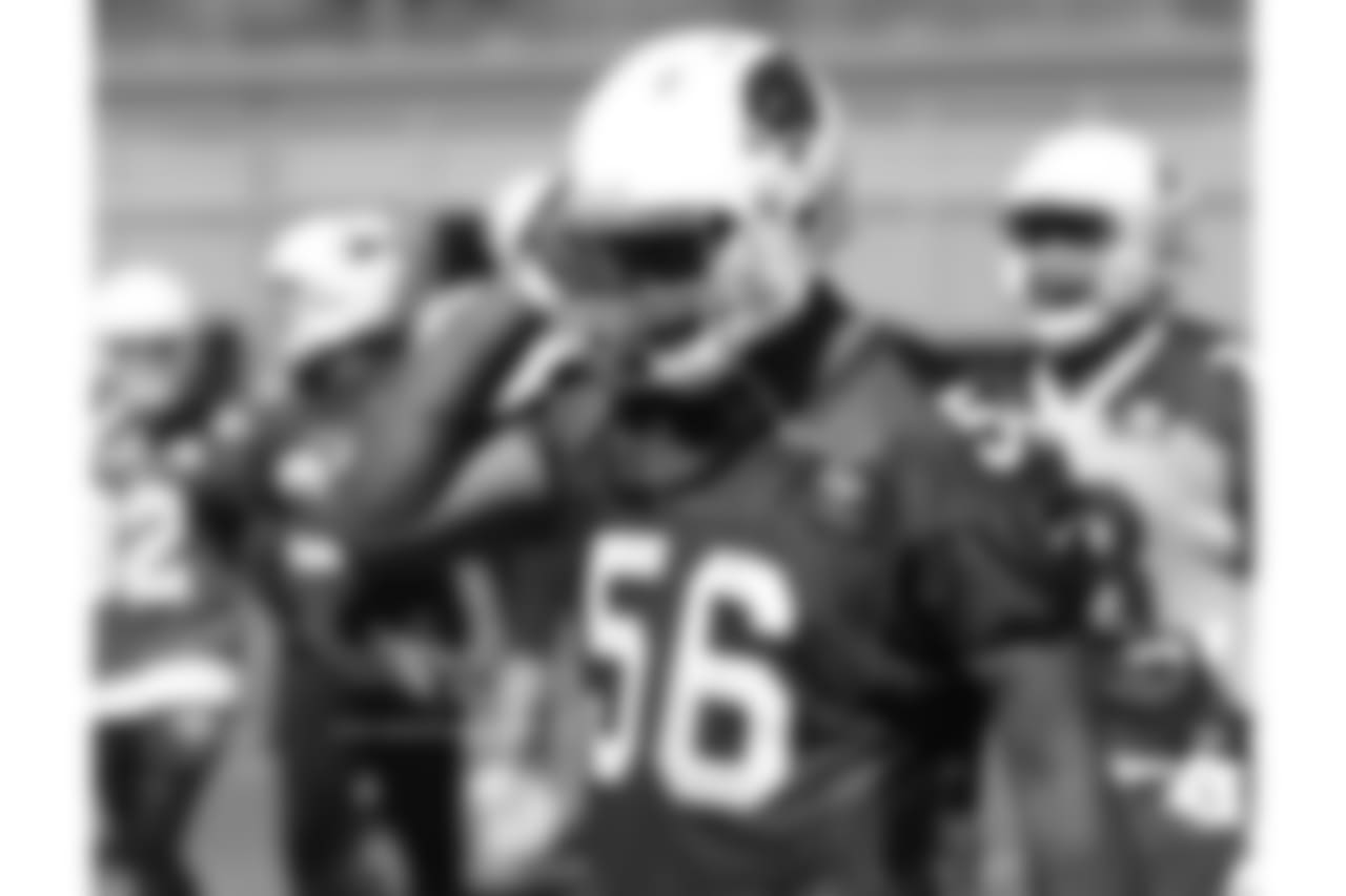 LB Karlos Dansby
