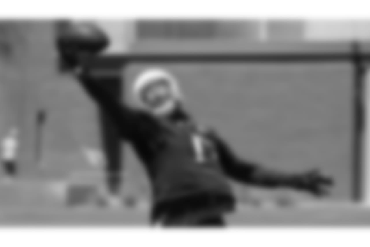 WR Larry Fitzgerald