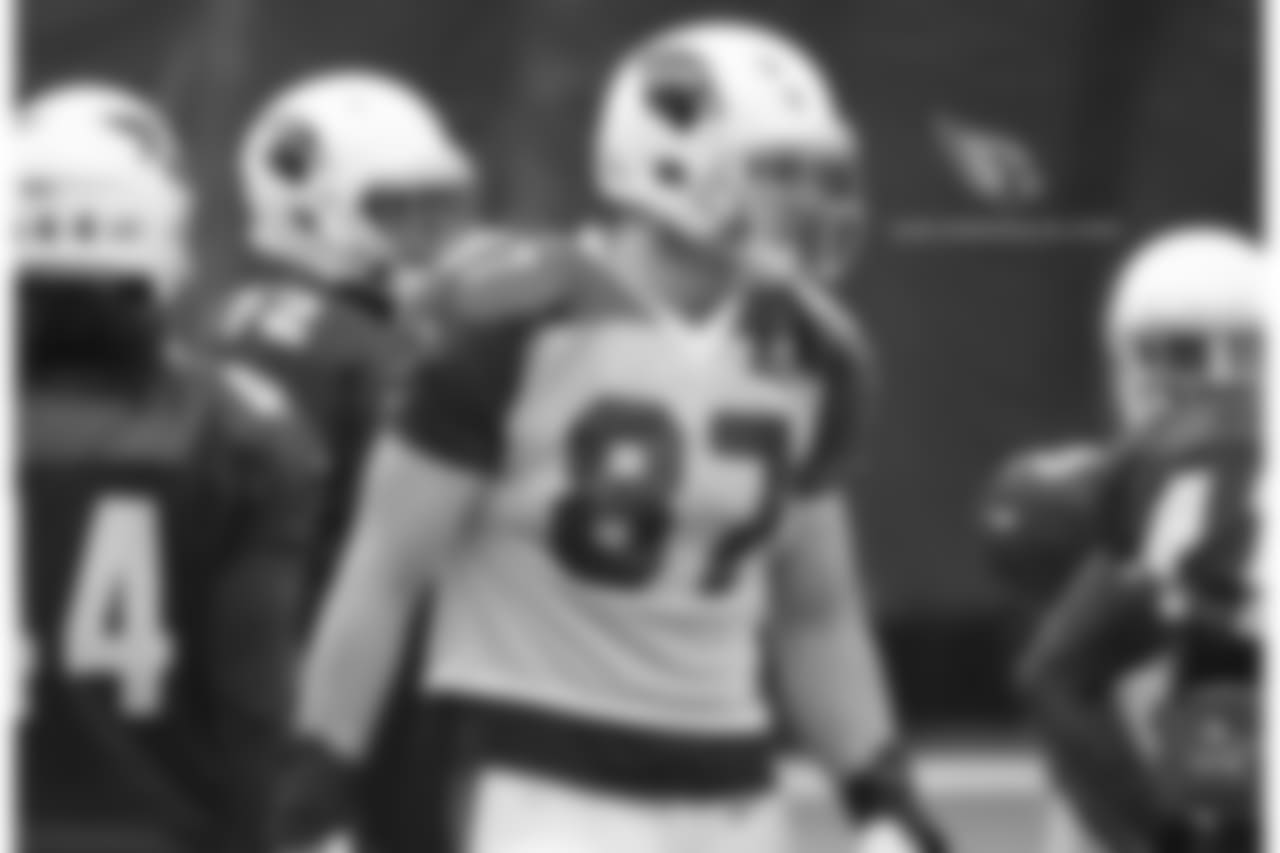 TE Troy Niklas