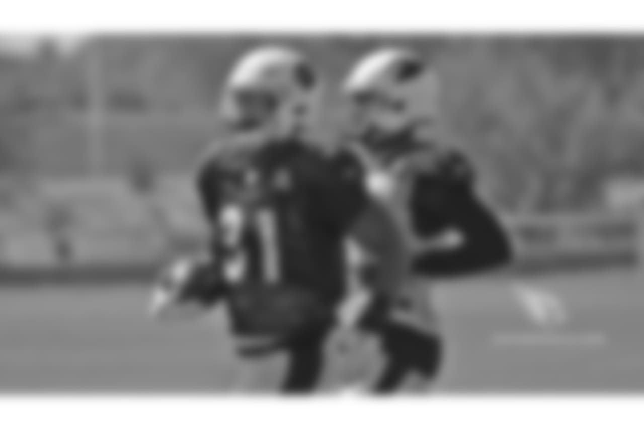 RB David Johnson
