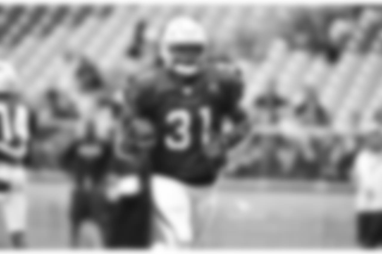RB David Johnson