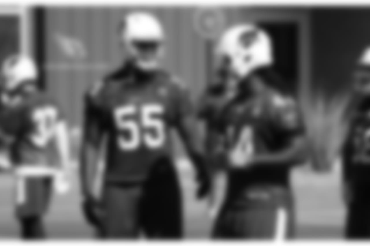 LBs Chandler Jones and Markus Golden