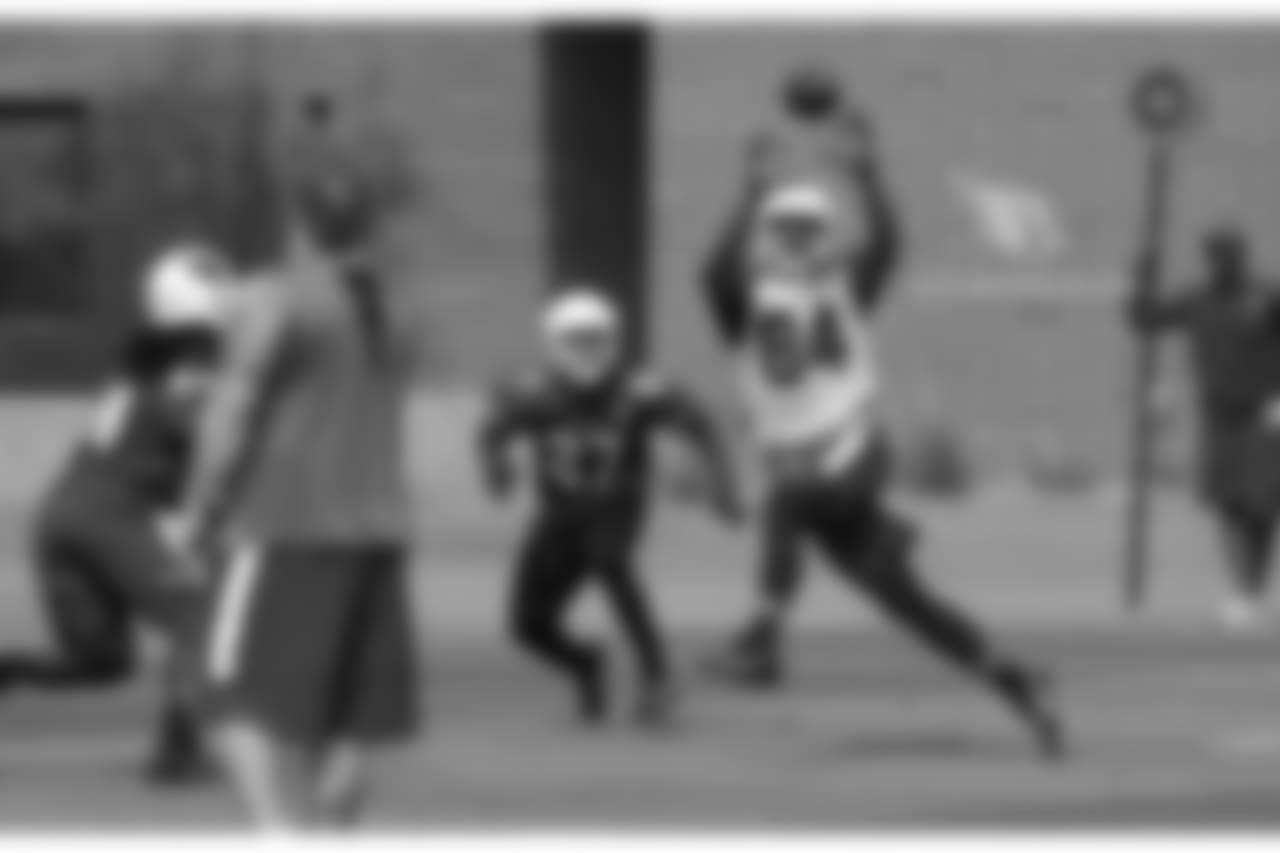 TE Jermaine Gresham