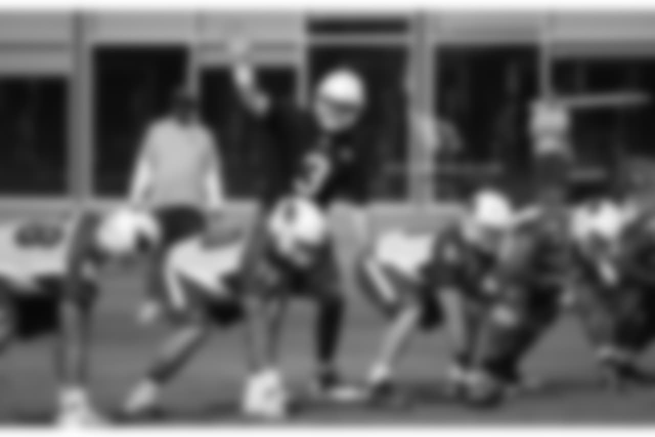 QB Carson Palmer at the line of scrimmage