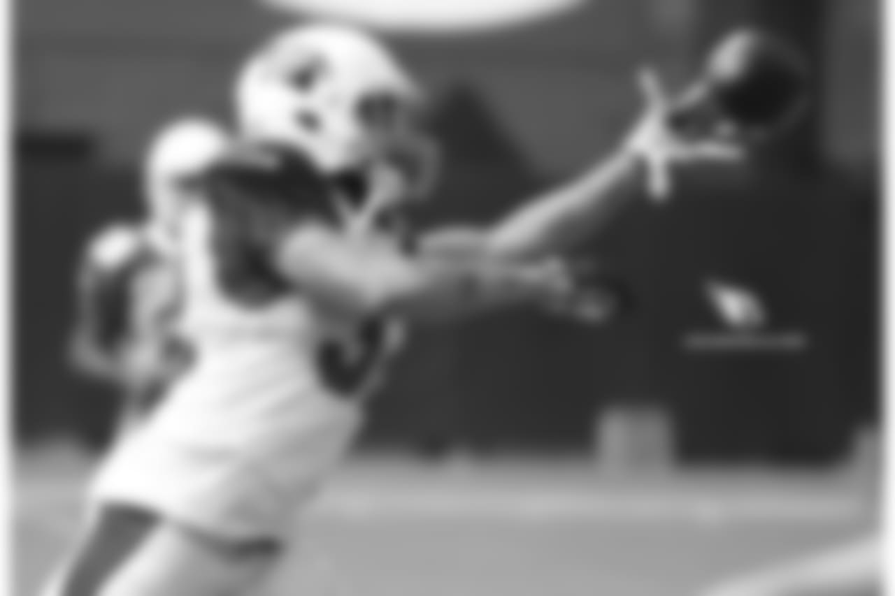S Tyrann Mathieu makes a one-handed catch in warmups