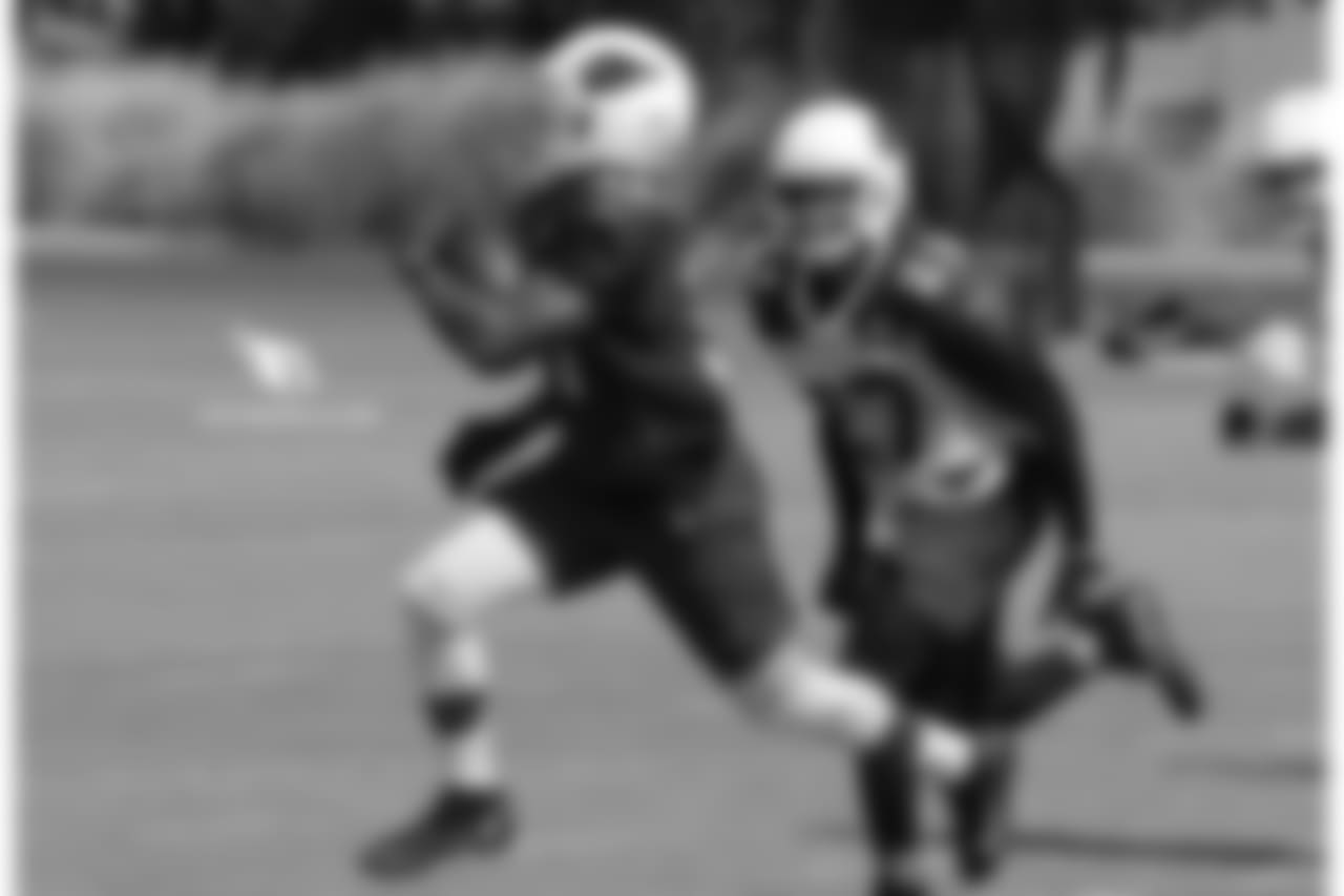 RB David Johnson