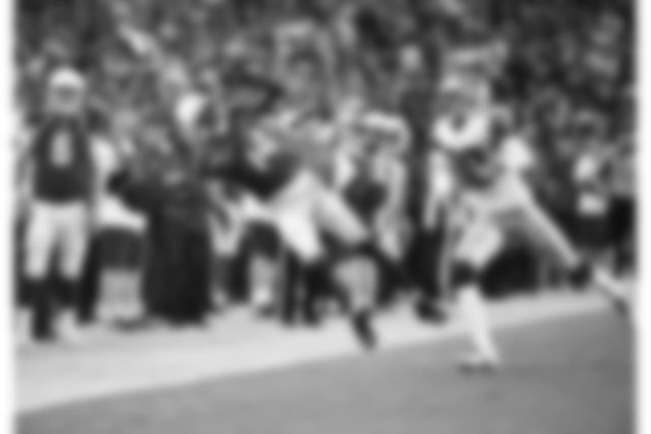 WR J.J. Nelson: 29 catches, 508 yards, 2 TD