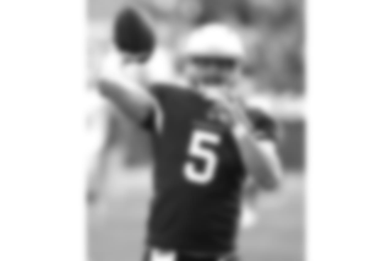 Cardinals QB Drew Stanton