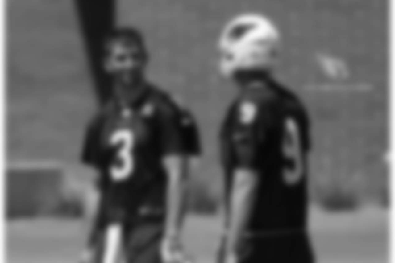 QBs Josh Rosen and Sam Bradford