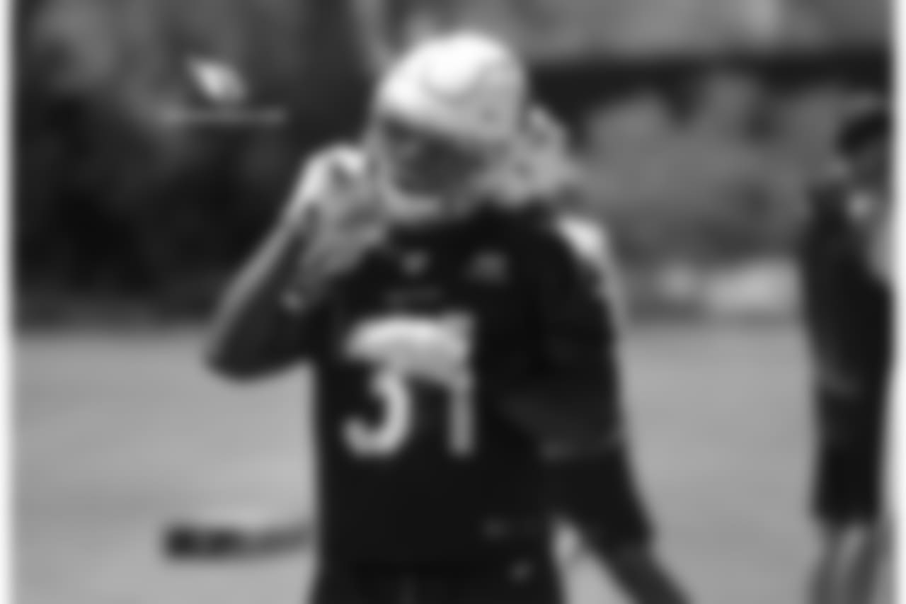 RB David Johnson