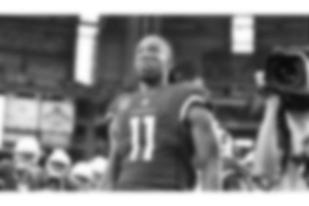 WR Larry Fitzgerald