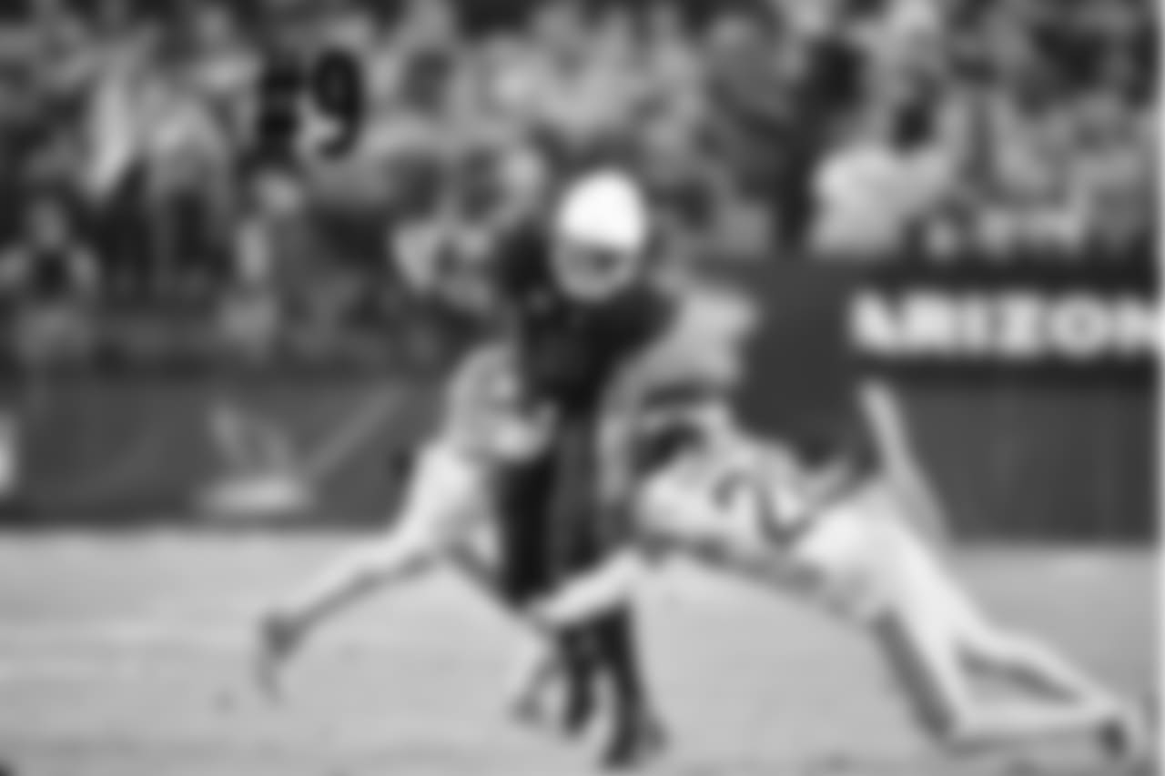 WR Larry Fitzgerald
