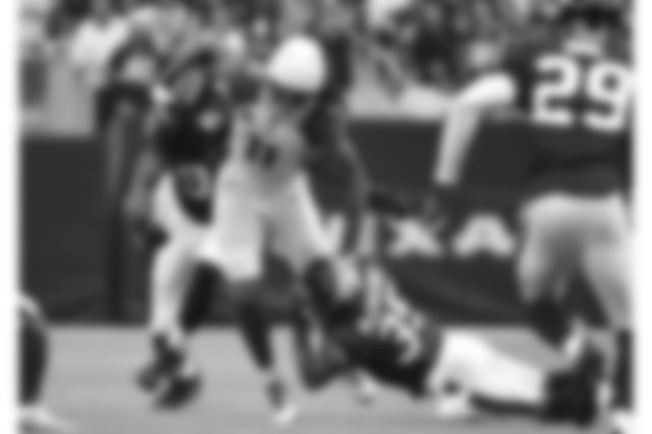 WR Larry Fitzgerald