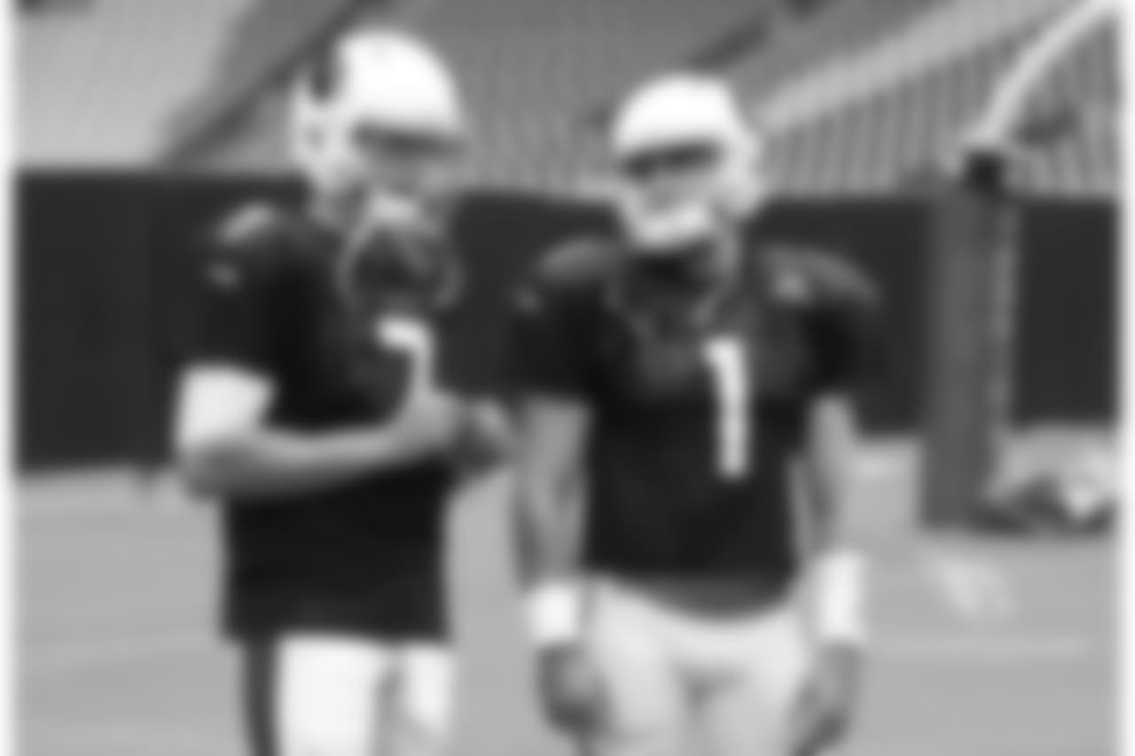 QBs Blaine Gabbert and Trevor Knight