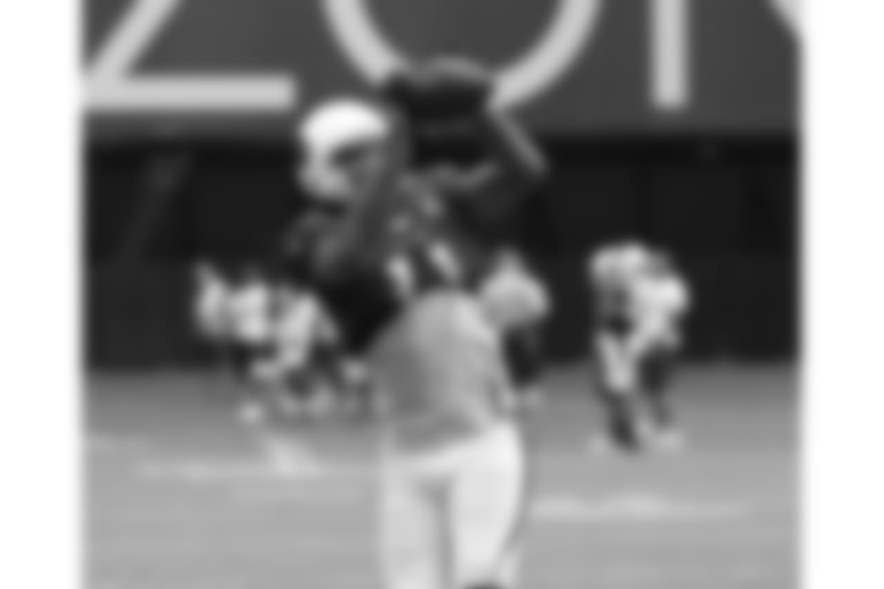 WR Larry Fitzgerald