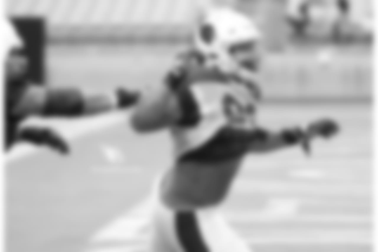 DT Robert Nkemdiche during a pass-rushing drill