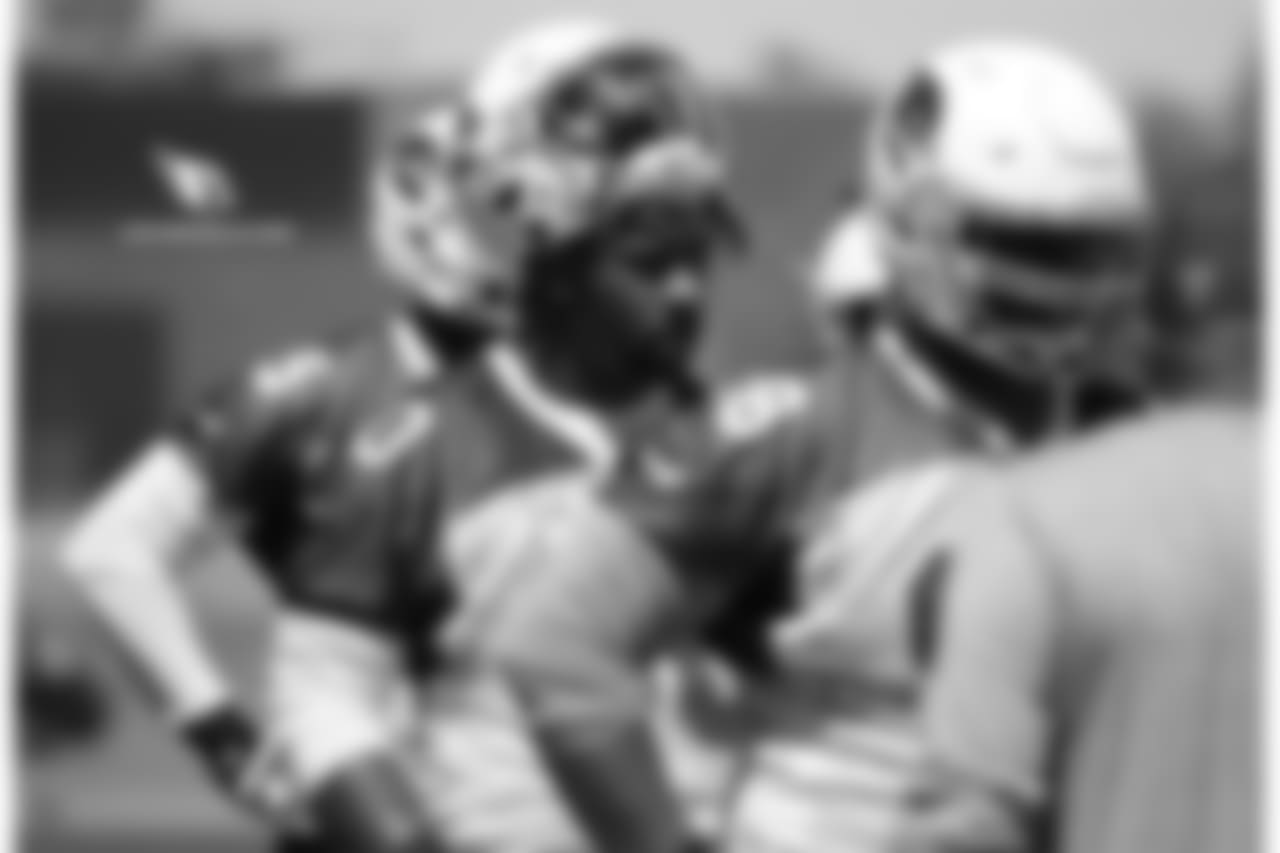 DT Robert Nkemdiche