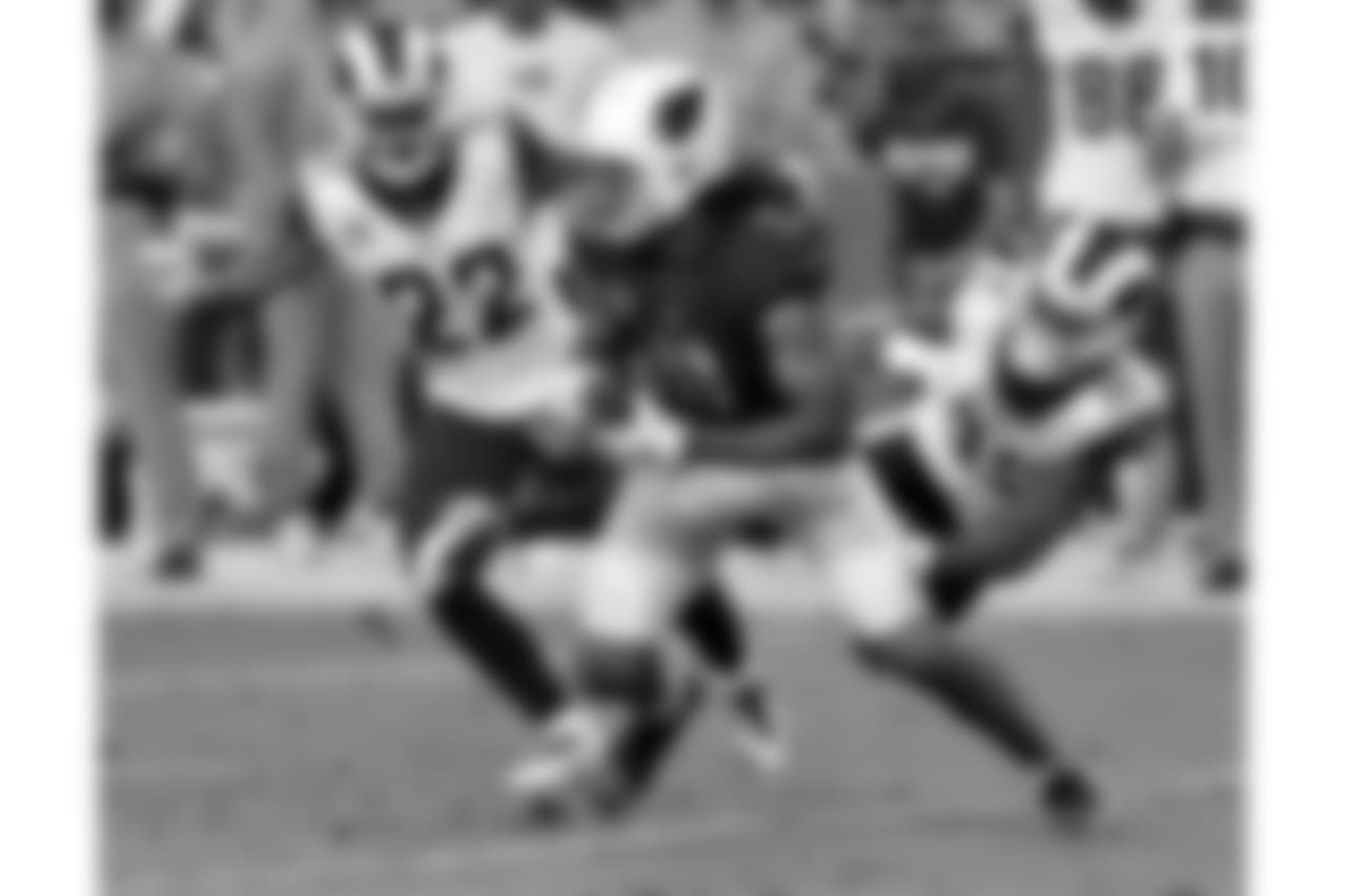 WR Larry Fitzgerald with the catch