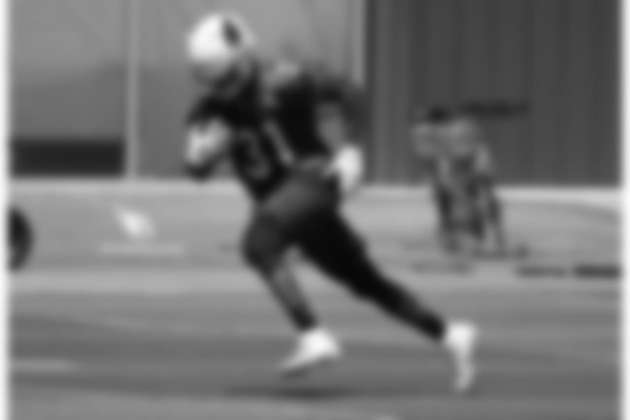 RB David Johnson runs